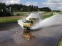 PIF im Aquaplaning-Becken